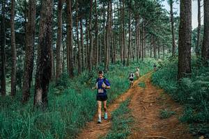 BIB: 
                            <button type="button" onclick="openModal(25666554)" class="btn btn-primary btn-sm float-right btn-popup" data-toggle="modal" data-target=".modal-high-quality">
                        <i class="fas fa-shopping-cart"></i> Add to Cart
                    </button>
                                            <button type="button" onclick="isThisMe(25666554, true)" class="btn btn-success btn-sm float-right btn-popup btn-isme hidden" data-toggle="tooltip" data-placement="bottom" title="นี่คือรูปของคุณใช่ไหม คลิกที่นี่เพื่อเอาเข้าอัลบั้ม">
                        <i class="fas fa-plus"></i> Add to album
                    </button>
                    <button type="button" onclick="isThisMe(25666554, false)" class="btn btn-warning btn-sm float-right btn-popup btn-isnotme hidden">
                        <i class="fas fa-ban"></i> Remove from album
                    </button>